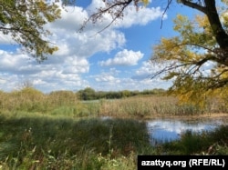 Ауыл халқы су алатын шағын өзен. Павлодар облысы Еңбек ауылы, 22 қыркүйек, 2023 жыл. Азаттық архивіндегі фото.