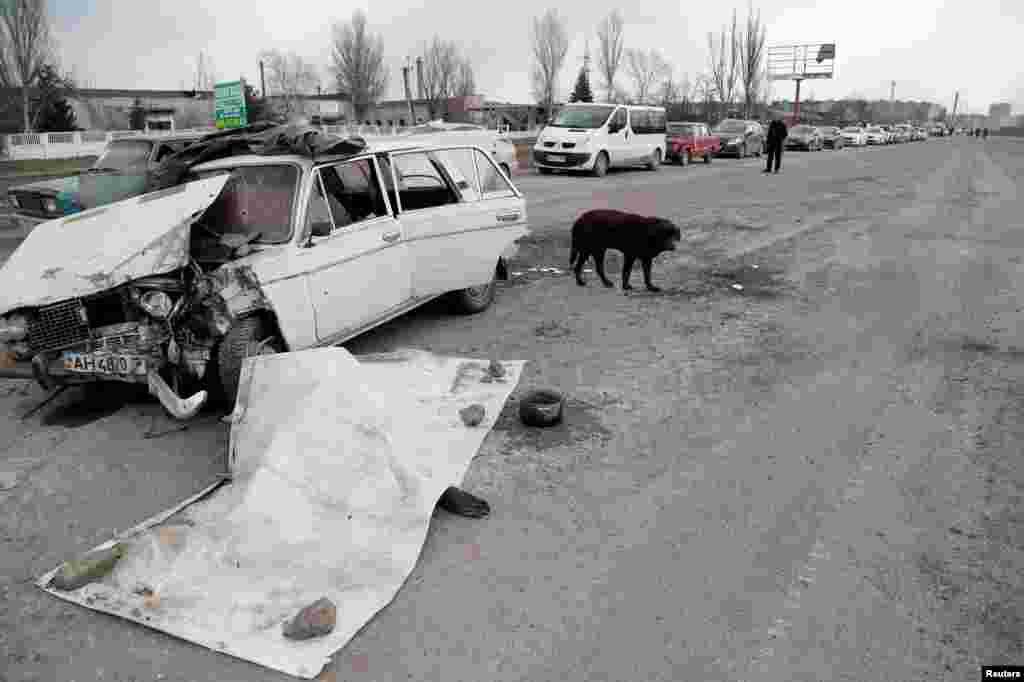 Повз тіла загиблих у Маріуполі проїжджають автомобілі.&nbsp;17 березня 2022 року